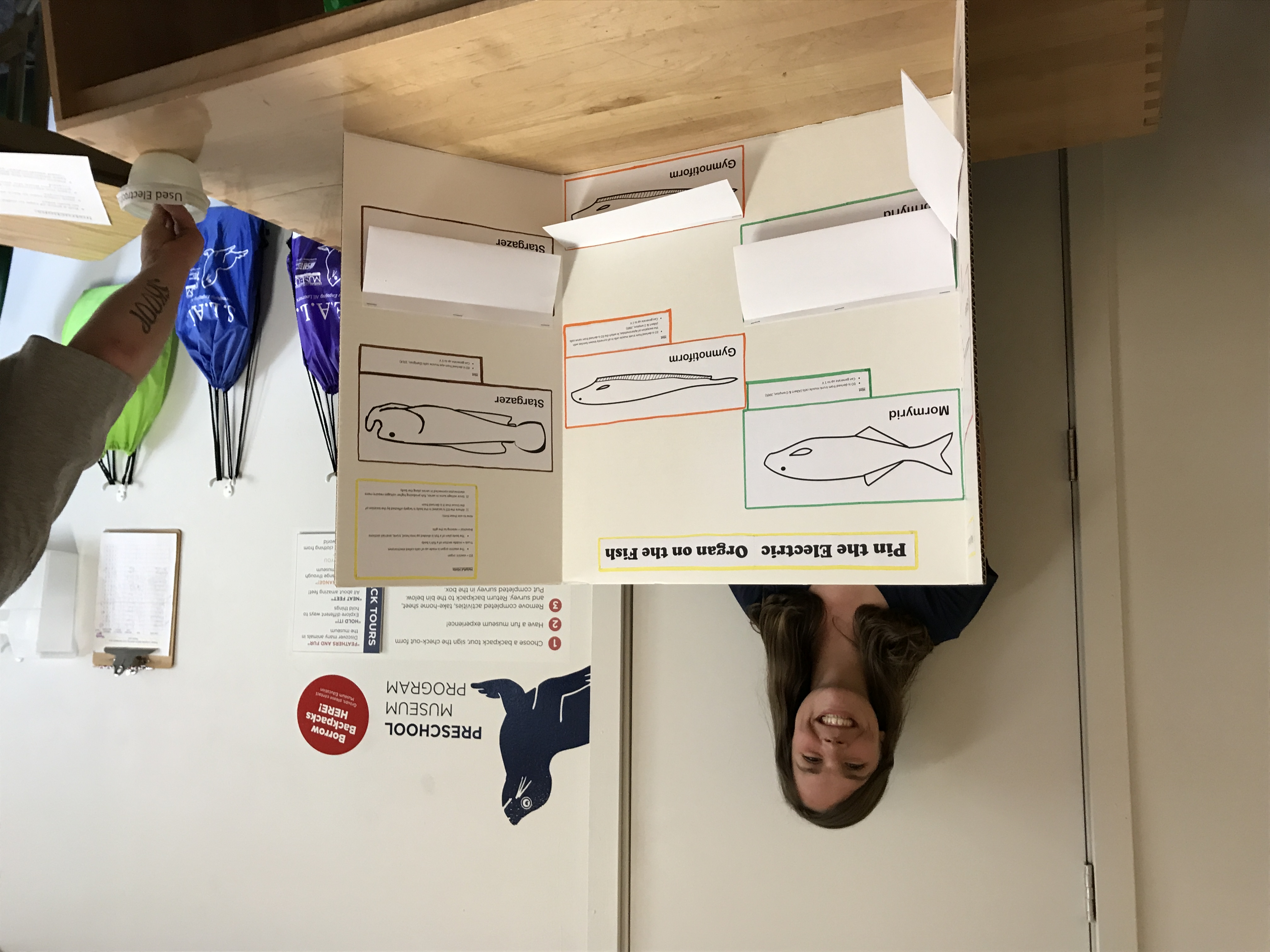 Kat leading outreach: pin the electrocyte on the fish